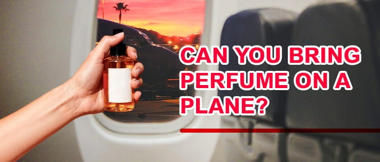 Can You Bring Perfume on a Plane? Here is what  you need to know